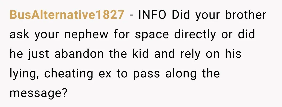 BusAlternative1827 - INFO Did your brother ask your nephew for space directly or did he just abandon the kid and rely on his lying, cheating ex to pass along the...