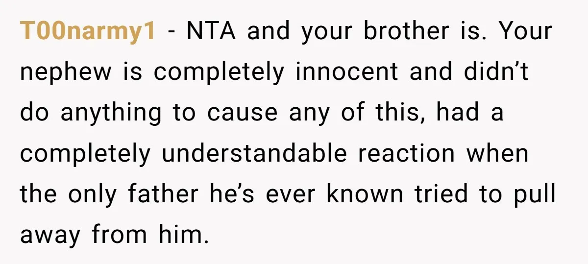 T00narmy1 - NTA and your brother is. Your nephew is completely innocent and didn’t do anything to cause any of this, had a completely understandable reaction when the only father...