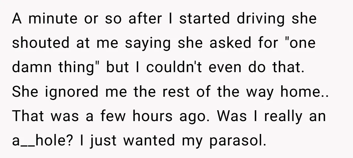 A minute or so after I started driving she shouted at me saying she asked for "one damn thing" but I couldn't even do that. She ignored me the rest...