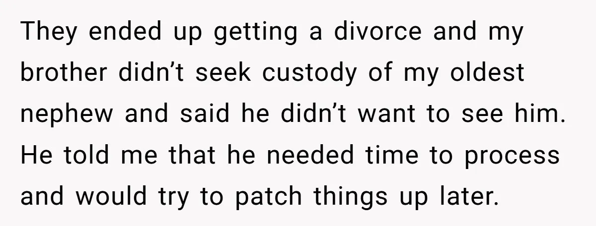 They ended up getting a divorce and my brother didn’t seek custody of my oldest nephew and said he didn’t want to see him. He told me that he needed...