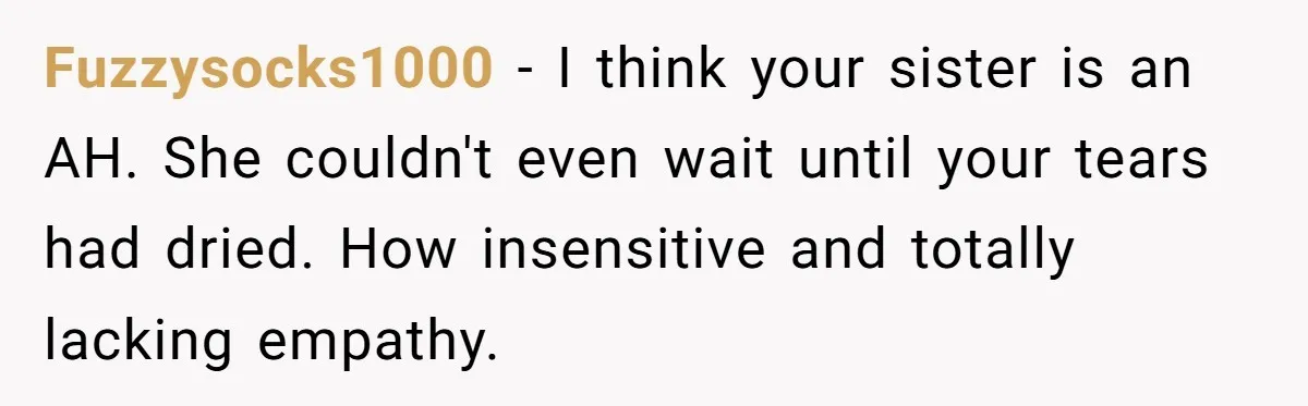 Fuzzysocks1000 − I think your sister is an AH. She couldn't even wait until your tears had dried. How insensitive and totally lacking empathy.