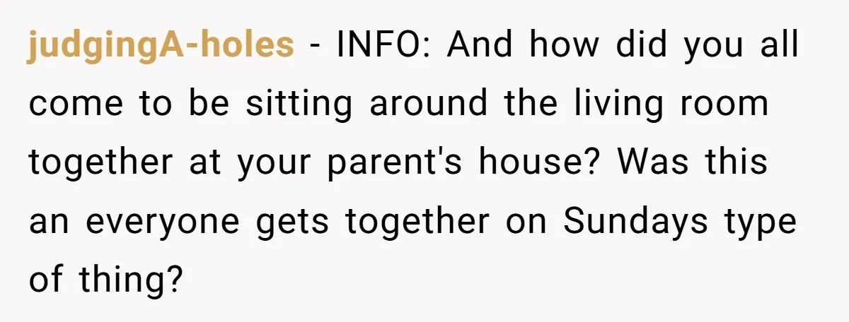 judgingA-holes − INFO: And how did you all come to be sitting around the living room together at your parent's house? Was this an everyone gets together on Sundays type...
