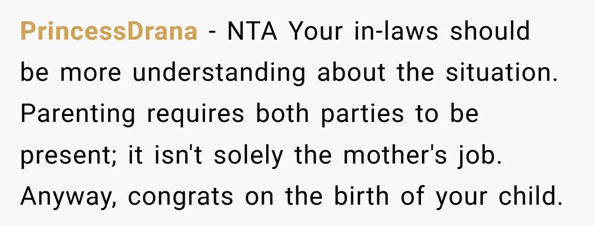 PrincessDrana − NTA Your in-laws should be more understanding about the situation. Parenting requires both parties to be present; it isn't solely the mother's job. Anyway, congrats on the birth...