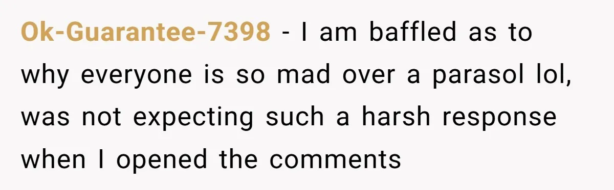 Ok-Guarantee-7398 − I am baffled as to why everyone is so mad over a parasol lol, was not expecting such a harsh response when I opened the comments