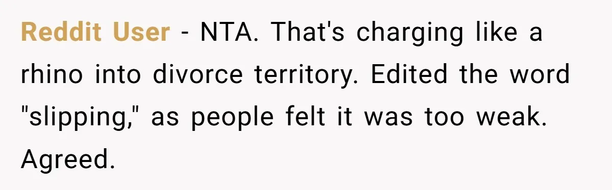 Reddit User - NTA. That's charging like a rhino into divorce territory. Edited the word "slipping," as people felt it was too weak. Agreed.