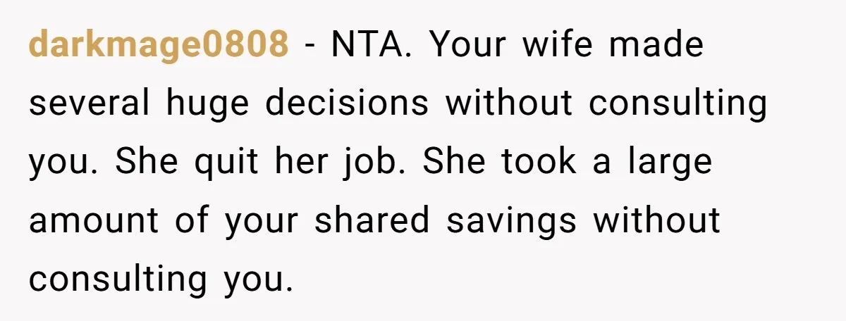darkmage0808 - NTA. Your wife made several huge decisions without consulting you. She quit her job. She took a large amount of your shared savings without consulting you.