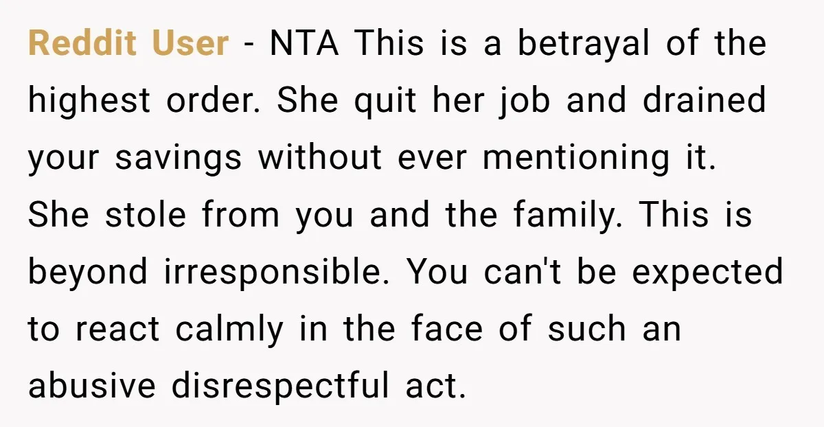 Reddit User - NTA This is a betrayal of the highest order. She quit her job and drained your savings without ever mentioning it. She stole from you and the...