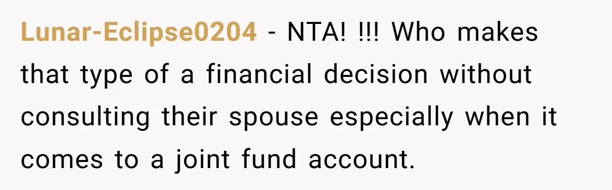 Lunar-Eclipse0204 - NTA! !!! Who makes that type of a financial decision without consulting their spouse especially when it comes to a joint fund account.