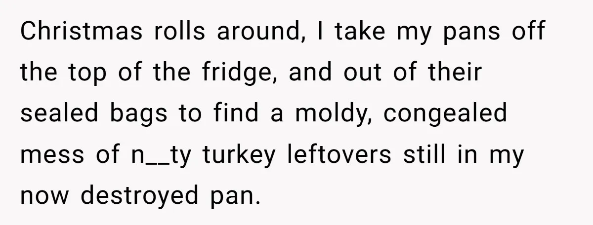 Christmas rolls around, I take my pans off the top of the fridge, and out of their sealed bags to find a moldy, congealed mess of n__ty turkey leftovers still...