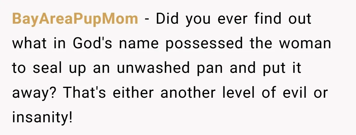 BayAreaPupMom − Did you ever find out what in God's name possessed the woman to seal up an unwashed pan and put it away? That's either another level of evil...