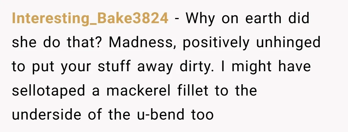Interesting_Bake3824 − Why on earth did she do that? Madness, positively unhinged to put your stuff away dirty. I might have sellotaped a mackerel fillet to the underside of the...
