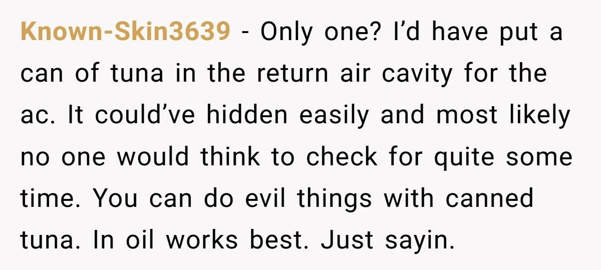 Known-Skin3639 − Only one? I’d have put a can of tuna in the return air cavity for the ac. It could’ve hidden easily and most likely no one would think...
