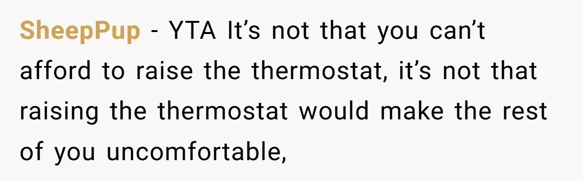 SheepPup − YTA It’s not that you can’t afford to raise the thermostat, it’s not that raising the thermostat would make the rest of you uncomfortable,