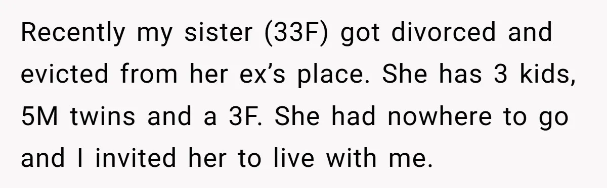 Recently my sister (33F) got divorced and evicted from her ex’s place. She has 3 kids, 5M twins and a 3F. She had nowhere to go and I invited her...
