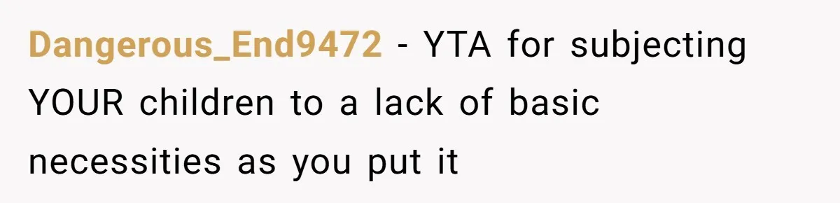 Dangerous_End9472 − YTA for subjecting YOUR children to a lack of basic necessities as you put it