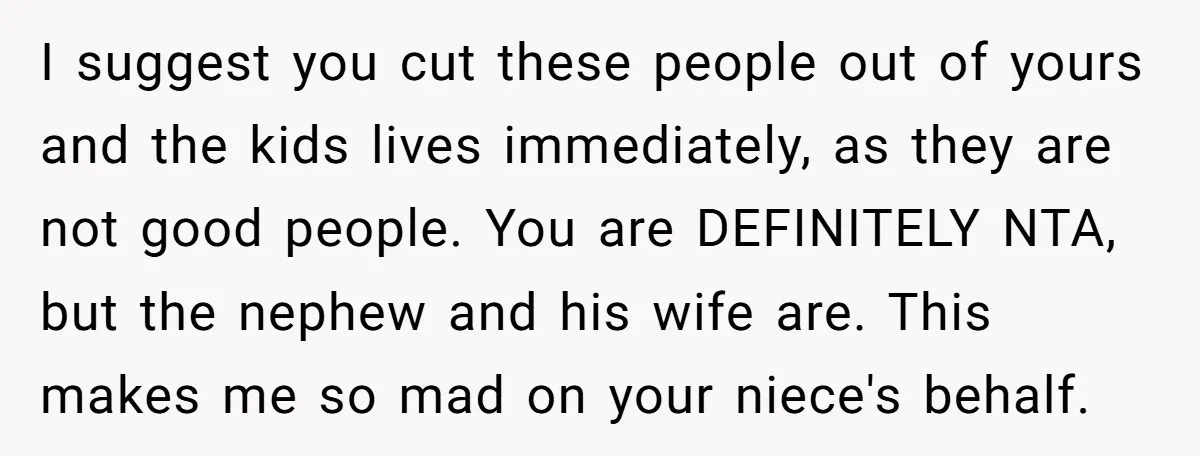 I suggest you cut these people out of yours and the kids lives immediately, as they are not good people. You are DEFINITELY NTA, but the nephew and his wife...