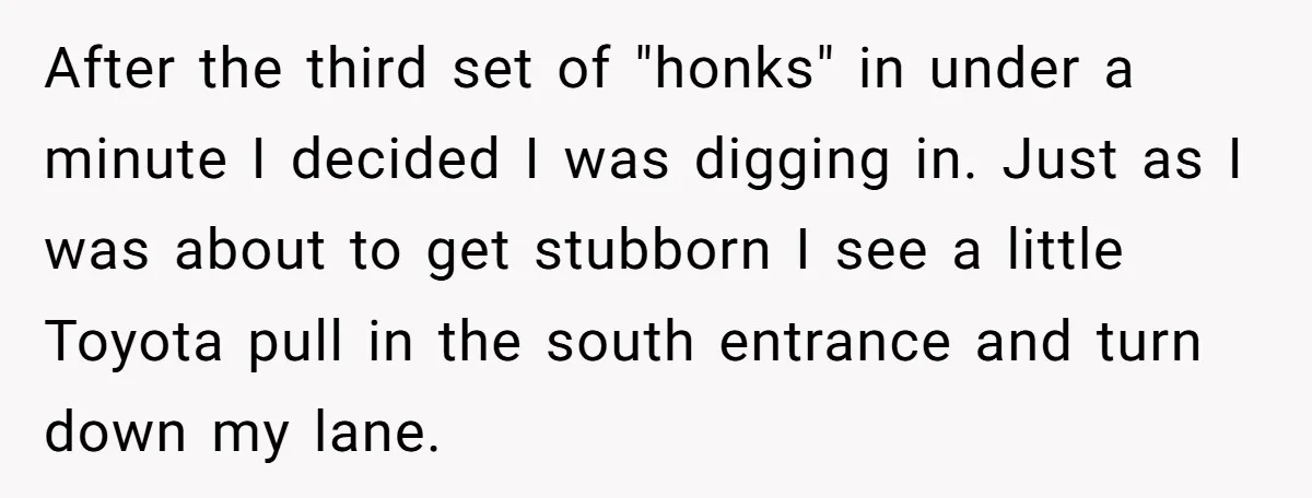 After the third set of "honks" in under a minute I decided I was digging in. Just as I was about to get stubborn I see a little Toyota pull...