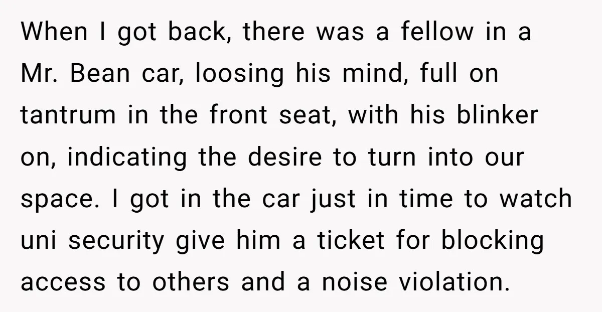 When I got back, there was a fellow in a Mr. Bean car, loosing his mind, full on tantrum in the front seat, with his blinker on, indicating the desire...