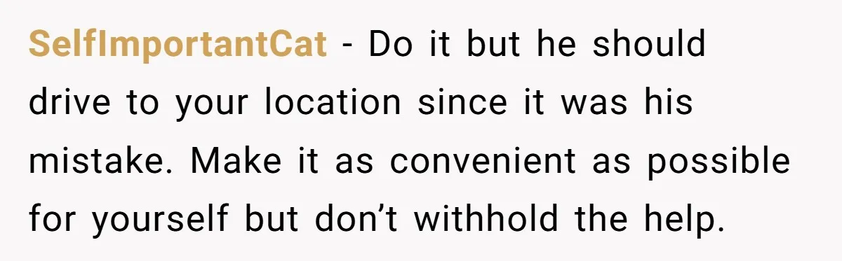 SelfImportantCat − Do it but he should drive to your location since it was his mistake. Make it as convenient as possible for yourself but don’t withhold the help.