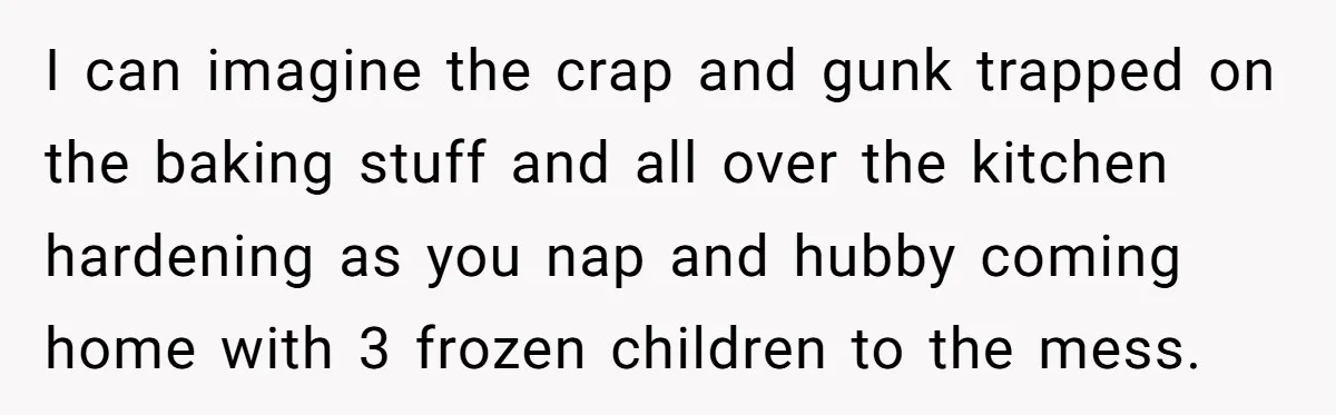I can imagine the crap and gunk trapped on the baking stuff and all over the kitchen hardening as you nap and hubby coming home with 3 frozen children to...