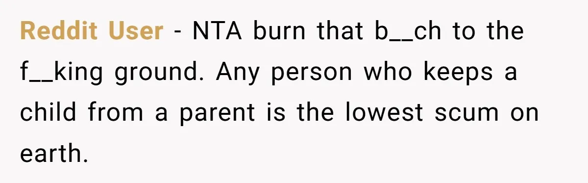 Reddit User - NTA burn that b__ch to the f__king ground. Any person who keeps a child from a parent is the lowest scum on earth.