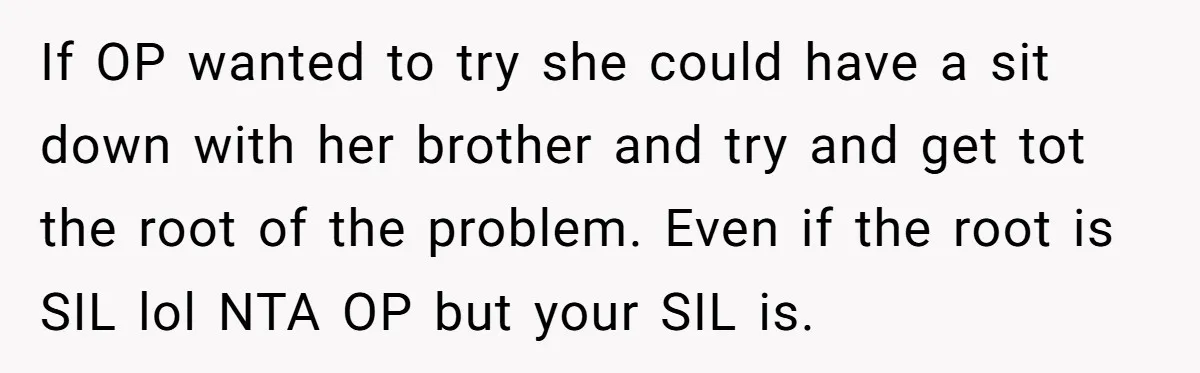 If OP wanted to try she could have a sit down with her brother and try and get tot the root of the problem. Even if the root is SIL...