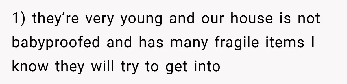 1) they’re very young and our house is not babyproofed and has many fragile items I know they will try to get into