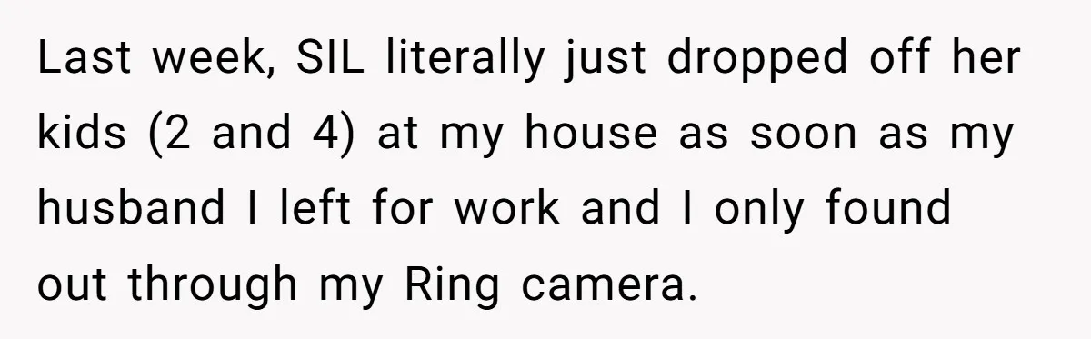 Last week, SIL literally just dropped off her kids (2 and 4) at my house as soon as my husband I left for work and I only found out through...