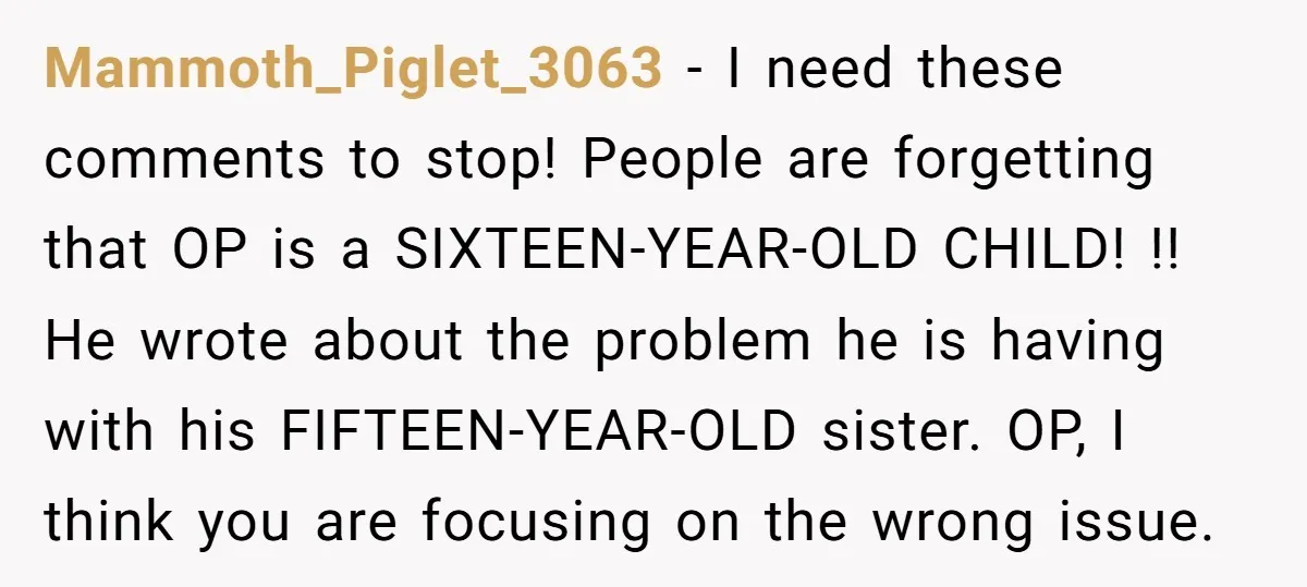 Mammoth_Piglet_3063 - I need these comments to stop! People are forgetting that OP is a SIXTEEN-YEAR-OLD CHILD! !! He wrote about the problem he is having with his FIFTEEN-YEAR-OLD sister....