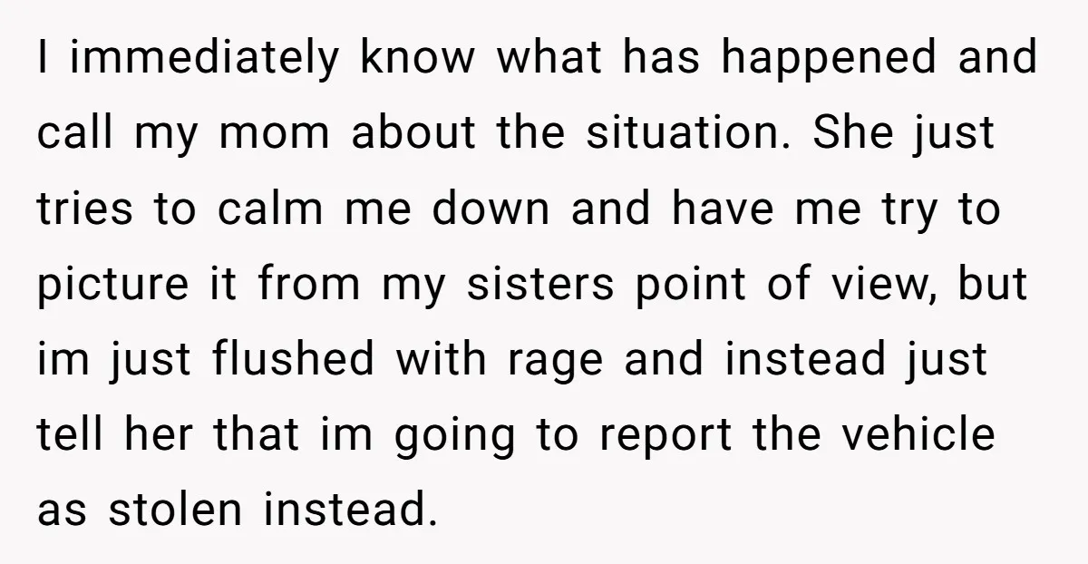 I immediately know what has happened and call my mom about the situation. She just tries to calm me down and have me try to picture it from my sisters...