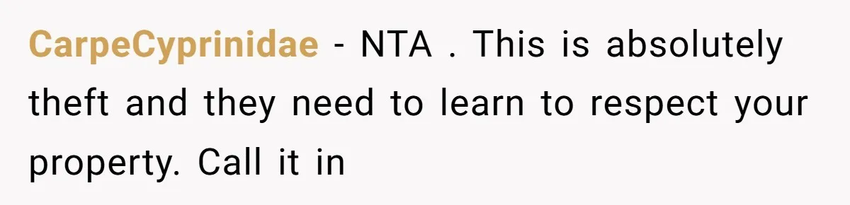 CarpeCyprinidae − NTA . This is absolutely theft and they need to learn to respect your property. Call it in