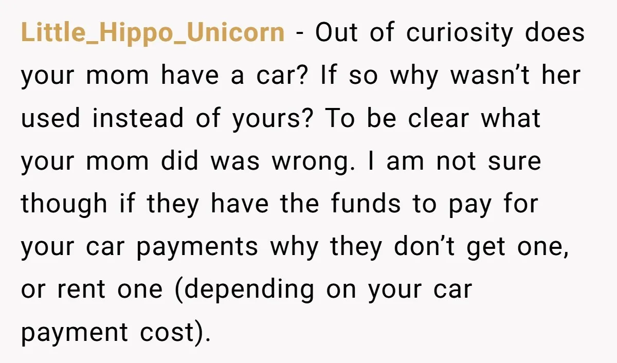 Little_Hippo_Unicorn − Out of curiosity does your mom have a car? If so why wasn’t her used instead of yours? To be clear what your mom did was wrong. I...