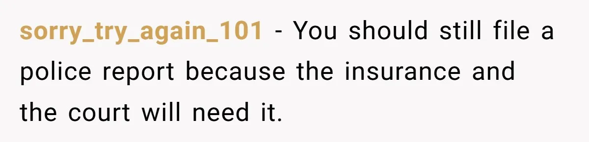 sorry_try_again_101 − You should still file a police report because the insurance and the court will need it.