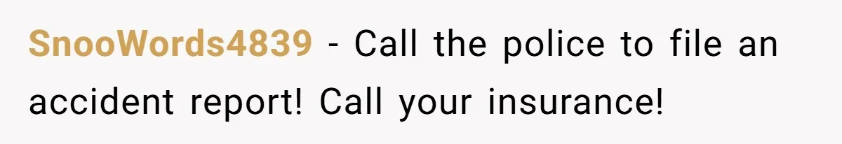 SnooWords4839 − Call the police to file an accident report! Call your insurance!
