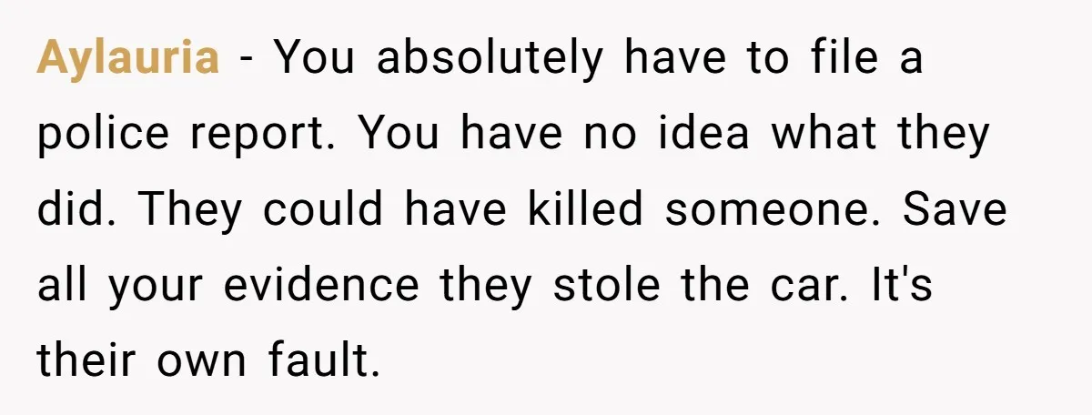 Aylauria − You absolutely have to file a police report. You have no idea what they did. They could have killed someone. Save all your evidence they stole the car....