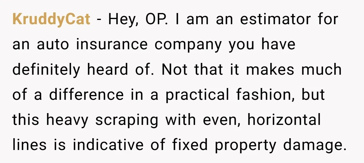 KruddyCat − Hey, OP. I am an estimator for an auto insurance company you have definitely heard of. Not that it makes much of a difference in a practical fashion,...