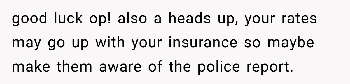 good luck op! also a heads up, your rates may go up with your insurance so maybe make them aware of the police report.
