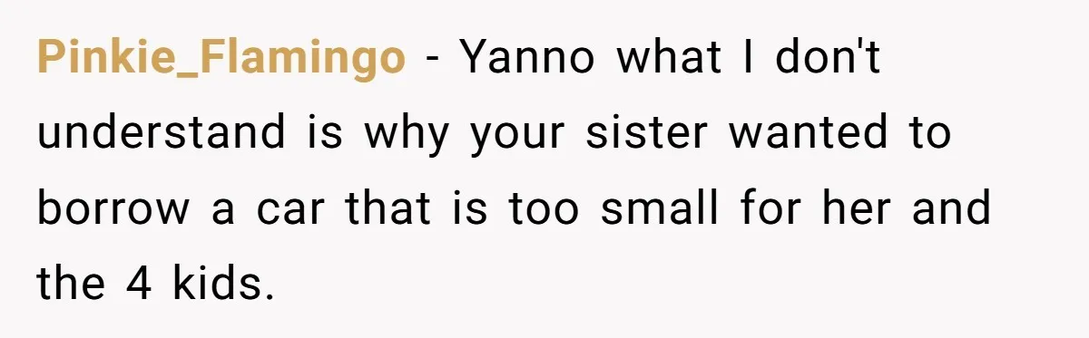 Pinkie_Flamingo − Yanno what I don't understand is why your sister wanted to borrow a car that is too small for her and the 4 kids.