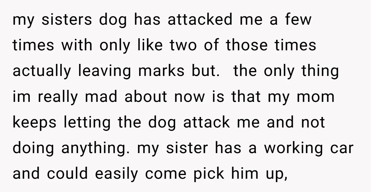 my sisters dog has attacked me a few times with only like two of those times actually leaving marks but. the only thing im really mad about now is that...