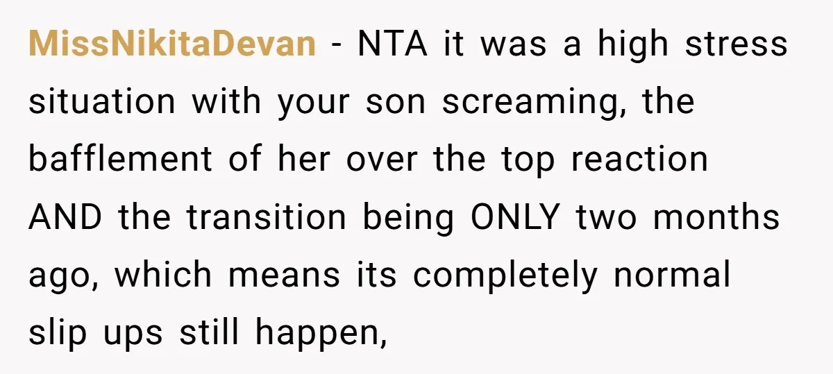 MissNikitaDevan − NTA it was a high stress situation with your son screaming, the bafflement of her over the top reaction AND the transition being ONLY two months ago, which...