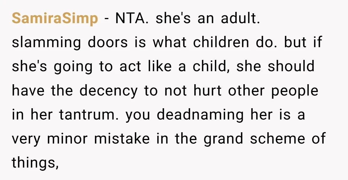 SamiraSimp − NTA. she's an adult. slamming doors is what children do. but if she's going to act like a child, she should have the decency to not hurt other...