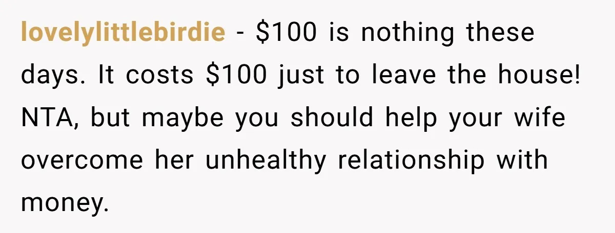 lovelylittlebirdie − $100 is nothing these days. It costs $100 just to leave the house! NTA, but maybe you should help your wife overcome her unhealthy relationship with money.