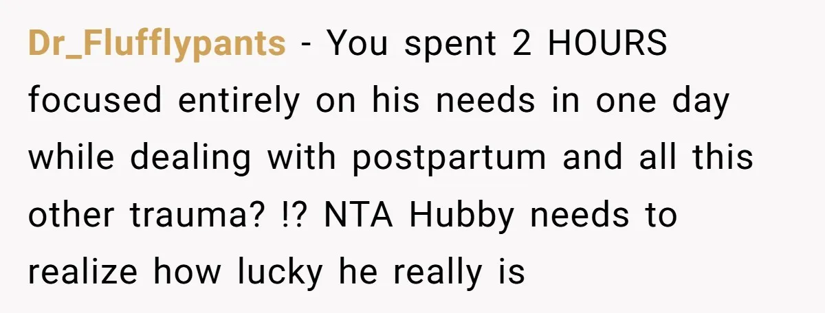 Dr_Flufflypants − You spent 2 HOURS focused entirely on his needs in one day while dealing with postpartum and all this other trauma? !? NTA Hubby needs to realize how...