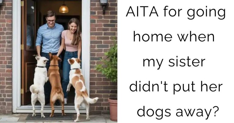 AITA for going home when my sister didn’t put her dogs away?