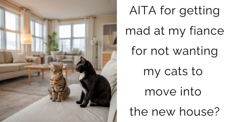 AITA for getting mad at my fiance for not wanting my cats to move into the new house?