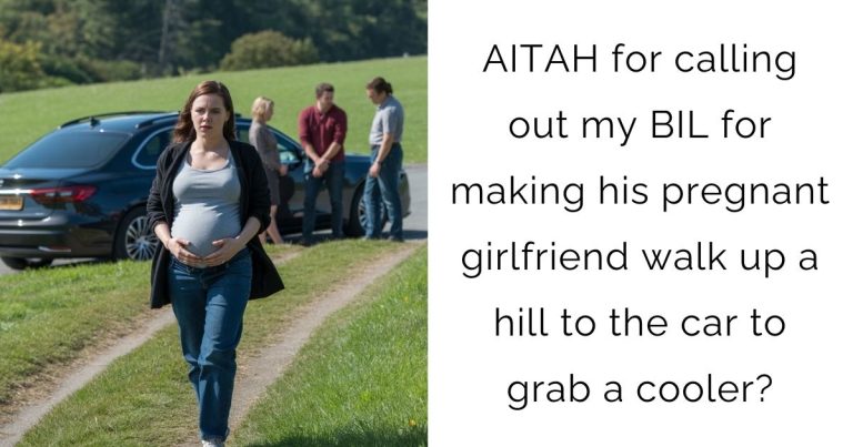 AITAH for calling out my BIL for making his pregnant girlfriend walk up a hill to the car to grab a cooler?