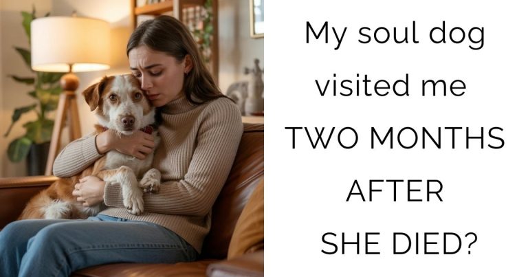 My soul dog visited me TWO MONTHS AFTER SHE DIED?