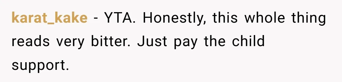 karat_kake − YTA. Honestly, this whole thing reads very bitter. Just pay the child support.