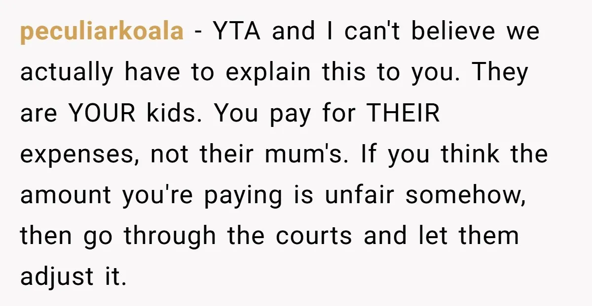 peculiarkoala − YTA and I can't believe we actually have to explain this to you. They are YOUR kids. You pay for THEIR expenses, not their mum's. If you think...