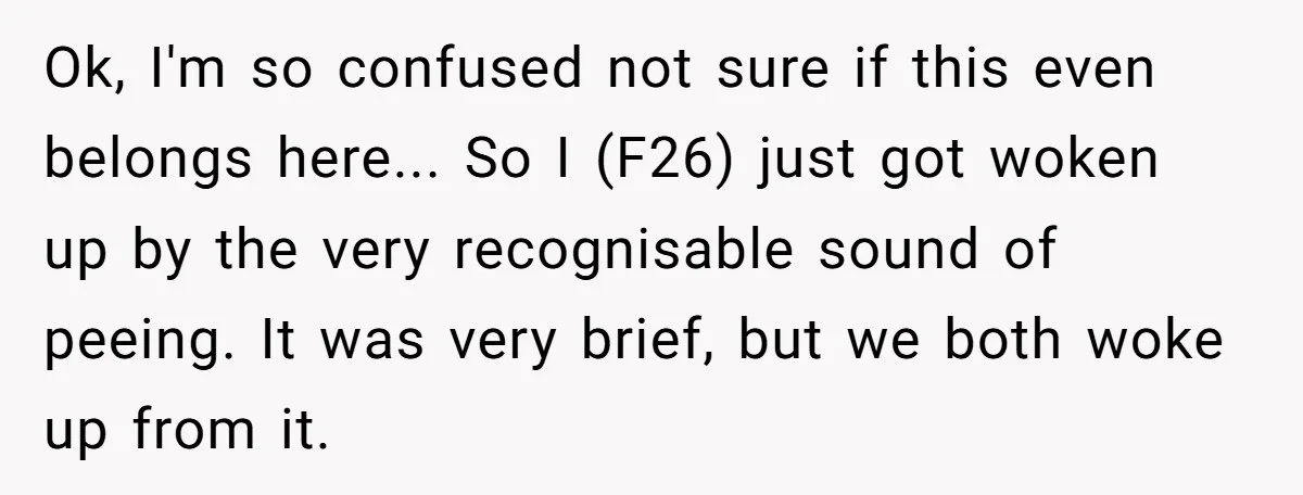 Ok, I'm so confused not sure if this even belongs here... So I (F26) just got woken up by the very recognisable sound of peeing. It was very brief, but...